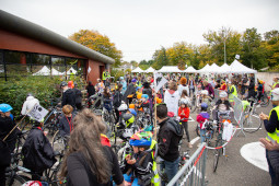 Des montures impacientes de rouler